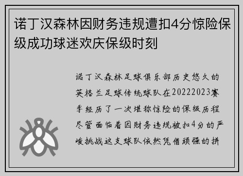 诺丁汉森林因财务违规遭扣4分惊险保级成功球迷欢庆保级时刻 诺丁汉森林因财务违规遭扣4分惊险保级成功球迷欢庆保级时刻